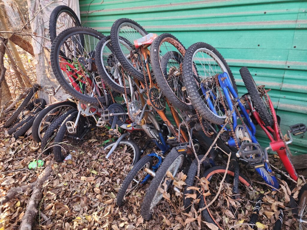 A collection of old bicycles covered in leaves at a home hoarding situation